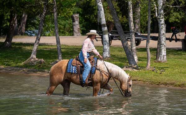 ranch-work-quarter-horse