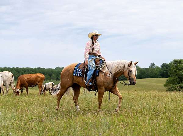 ranch-quarter-horse