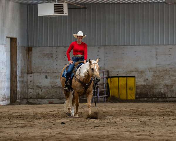roping-quarter-horse