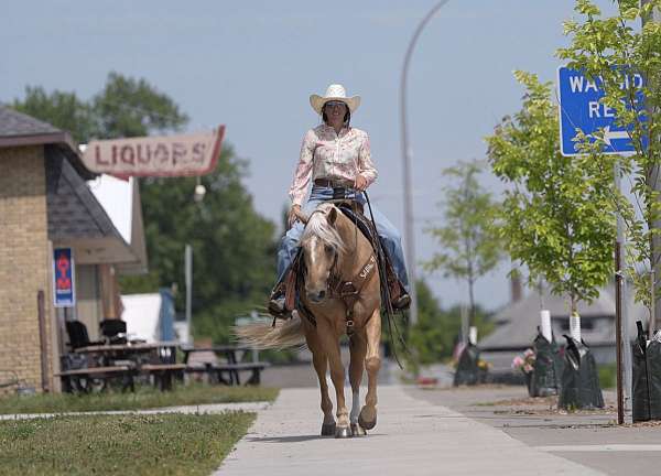 trail-riding-quarter-horse