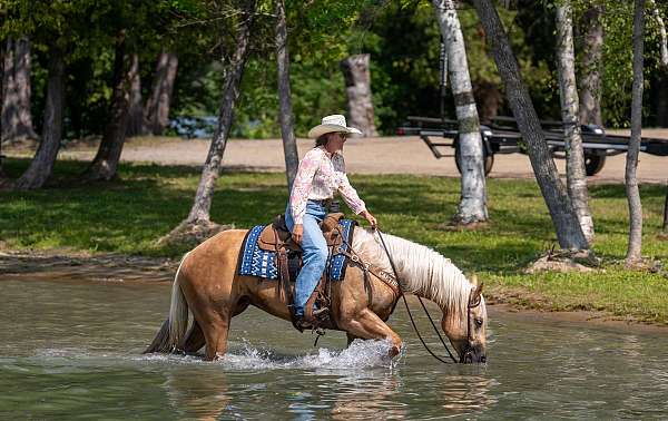 ranch-versatility-quarter-horse