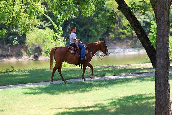 flashy-quarter-horse