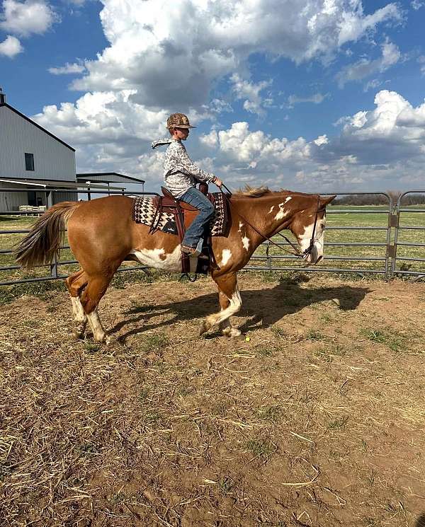 kid-safe-paint-horse