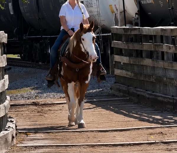 ranch-paint-horse