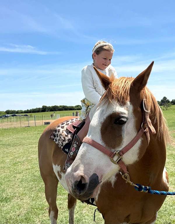 ranch-versatility-paint-horse