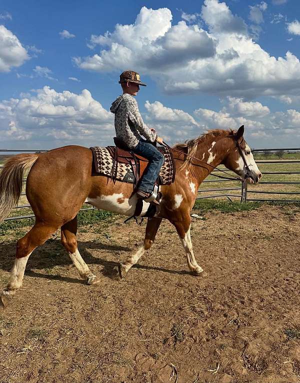 ridden-western-paint-horse