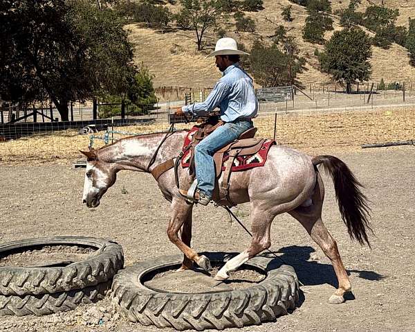 kid-safe-paint-horse