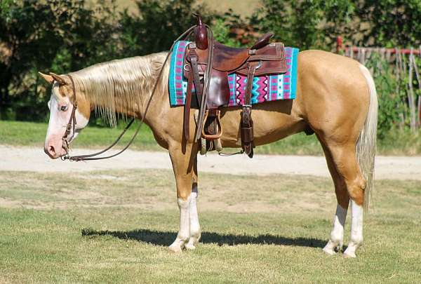athletic-paint-horse