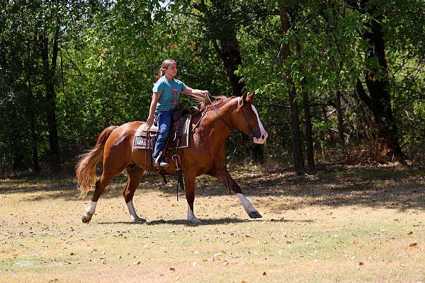 ranch-versatility-gypsy-vanner-horse