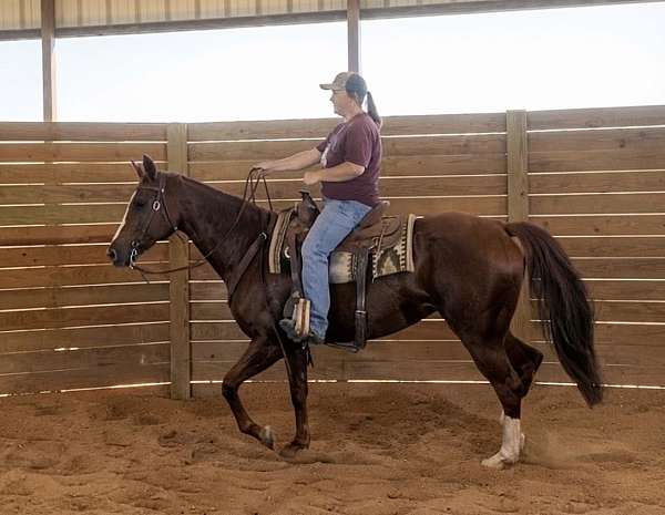 barrel-racing-appaloosa-horse
