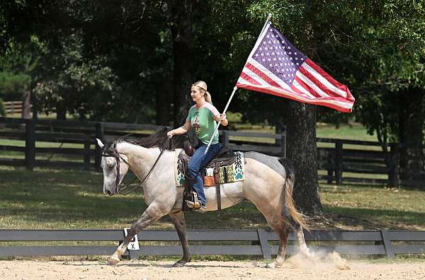gentle-quarter-horse
