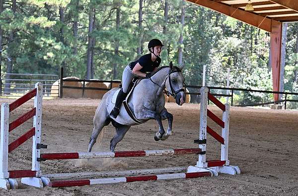 dun-quarter-horse
