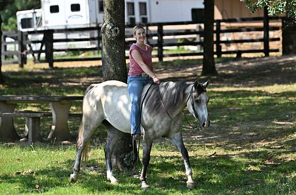 western-quarter-horse