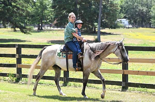 flashy-quarter-horse