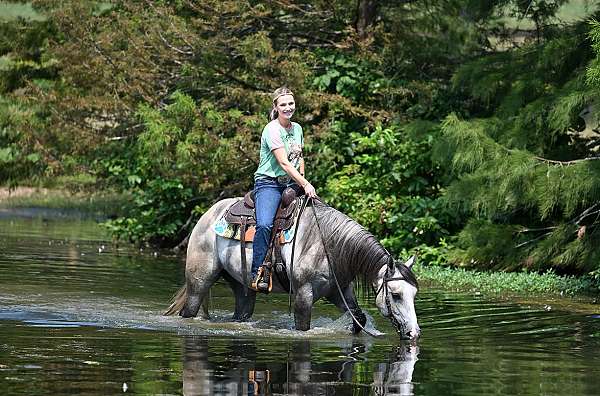 bombproof-quarter-horse