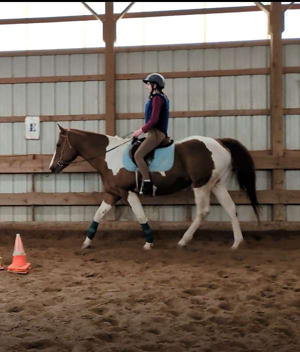 chestnut-tobiano-horse
