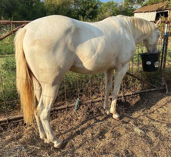 athletic-paint-horse