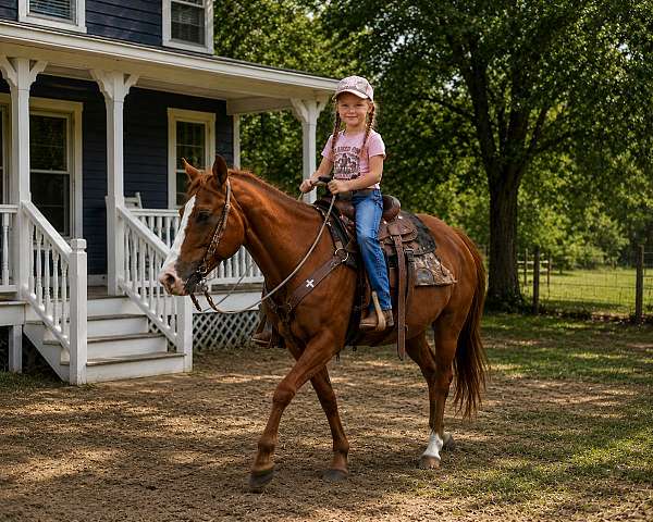 safe-riding-horse-quarter
