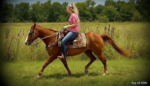 safe-riding-horse