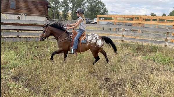 endurance-poa-pony