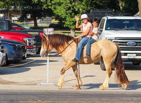 calf-roping-gypsy-vanner-horse