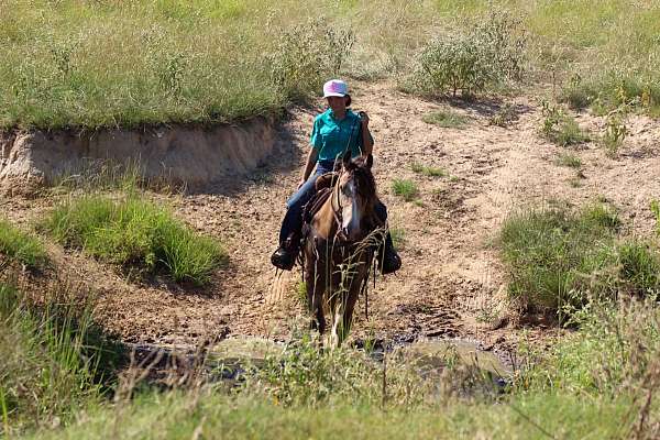 husband-safe-gypsy-vanner-horse