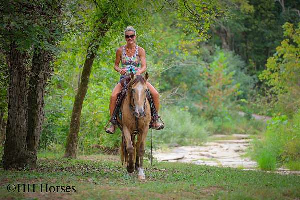 beginner-quarter-horse