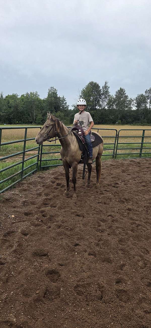 husband-safe-quarter-horse
