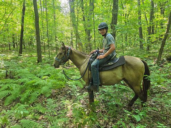 kid-safe-quarter-horse