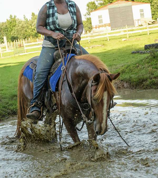 sorrel-gaited-horse