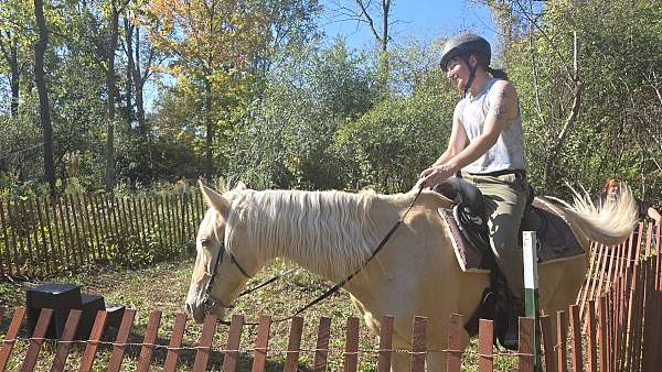 flashy-saddlebred-horse