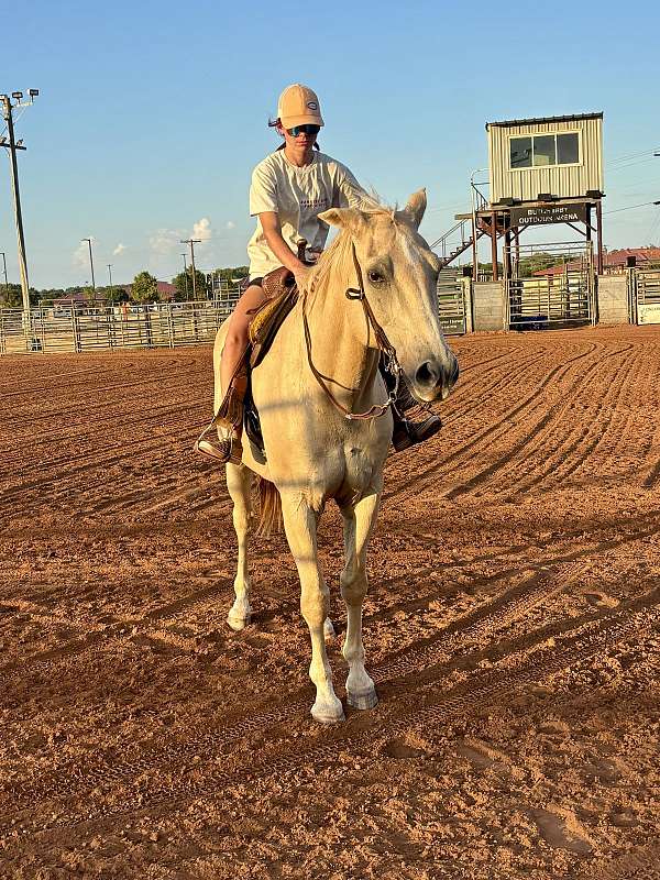 athletic-quarter-horse
