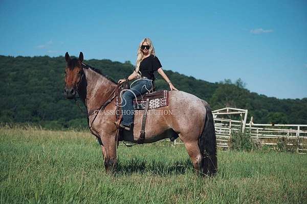 athletic-ability-thoroughbred-pony