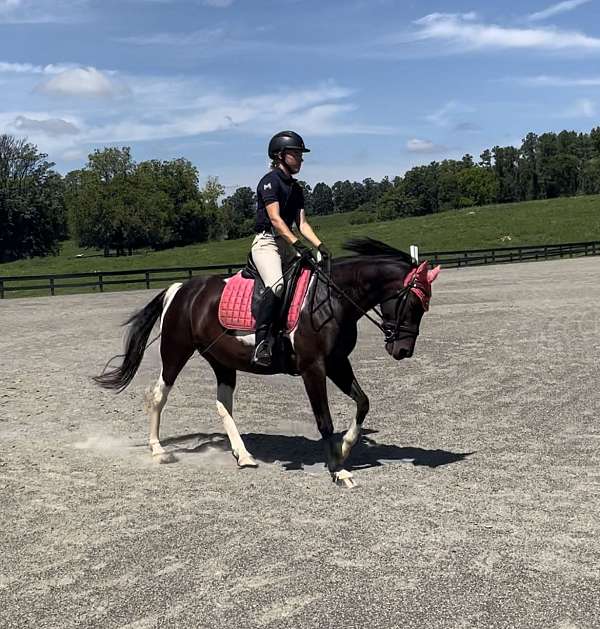 partial-pony