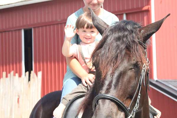 kid-safe-draft-horse