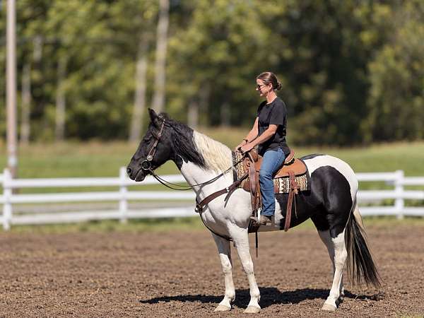 kids-horse-tennessee-walking