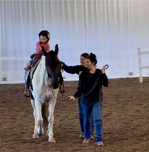 comfortable-gaits-tennessee-walking-horse