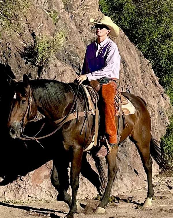 flashy-quarter-horse
