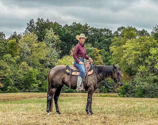 right-hind-white-coronethoof-horse
