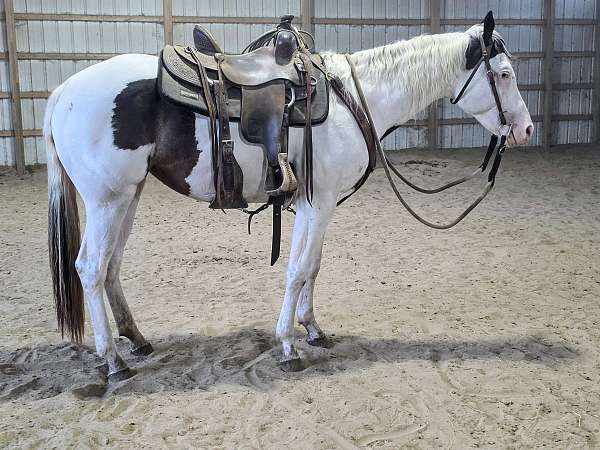 foundation-youth-horse