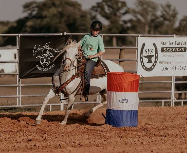 barrel-racing-half-arabian-pony