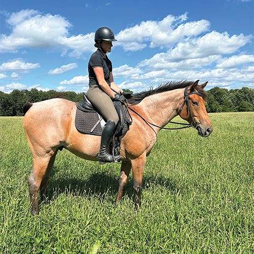 white-half-pastern-on-both-hinds-horse