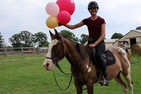 all-around-quarter-horse