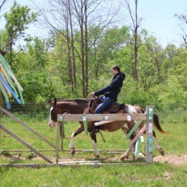 bathes-quarter-horse