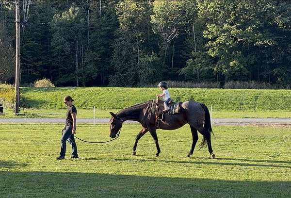 treasured-horse