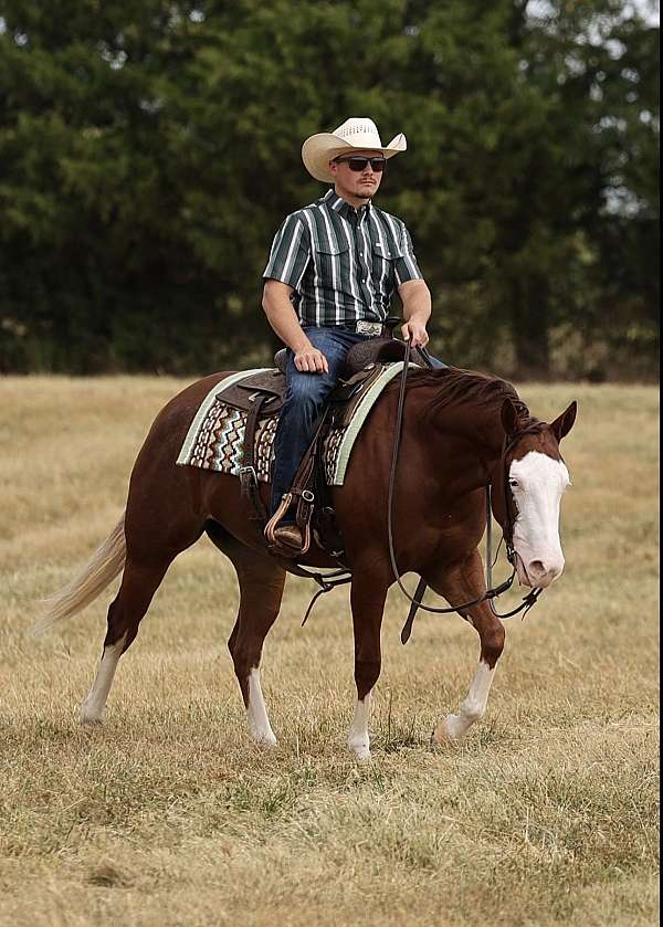 field-tr-mare