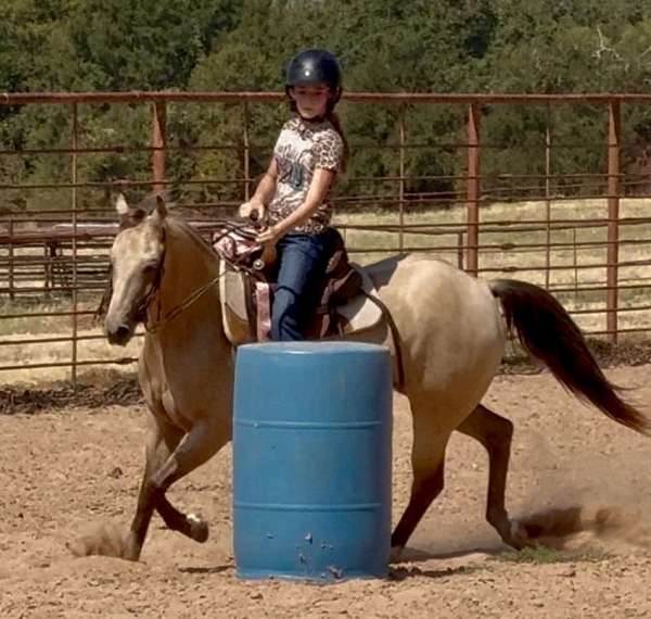jumping-quarter-pony