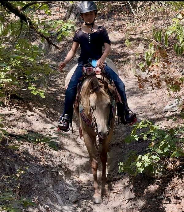 kid-safe-quarter-pony