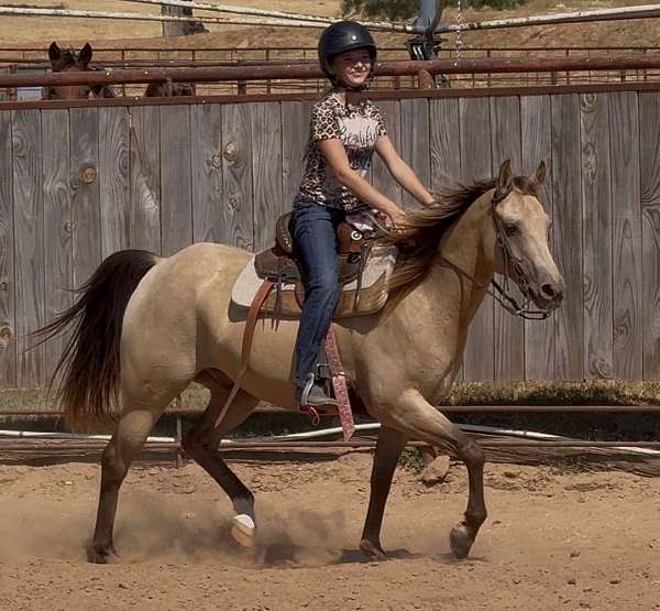 ranch-quarter-pony