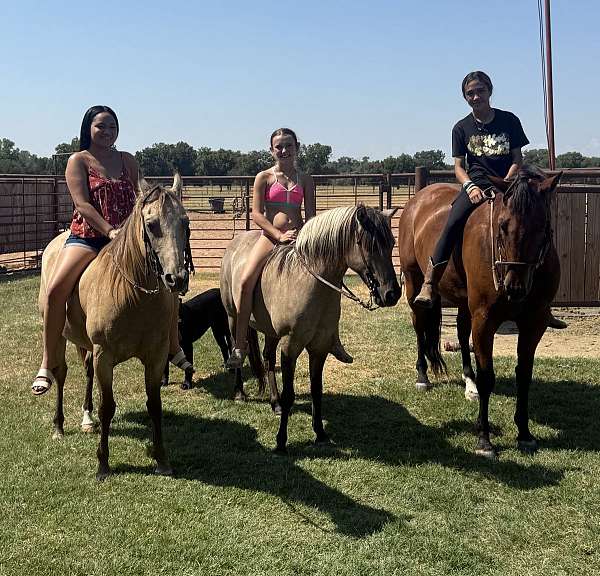 ranch-work-quarter-pony